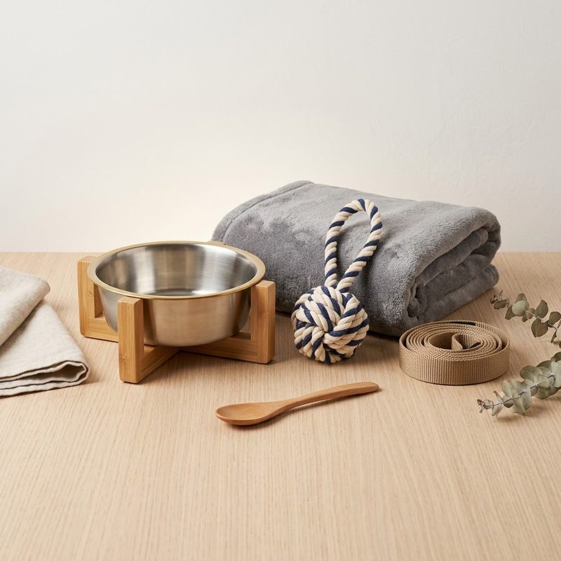 Pet supplies arranged as a still life